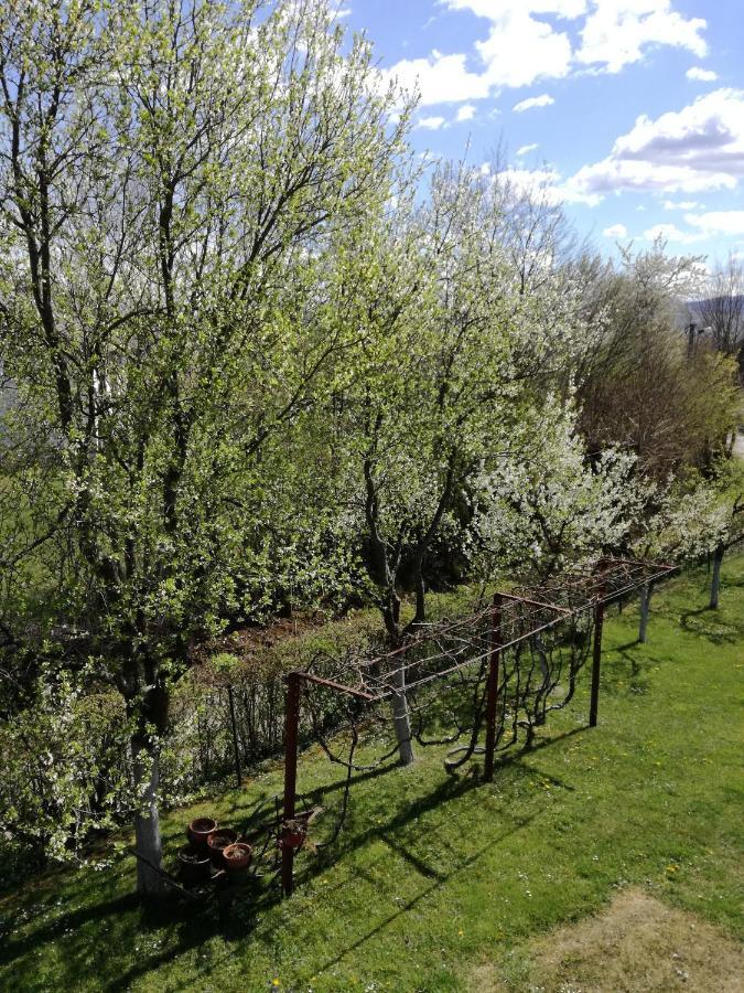 Guesthouse Sebalj Rakovica Exterior photo